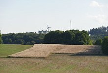 p1330023 - Archivfoto: Jost Wolf