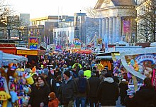 nic_3134b - Nicole Ellerbrake