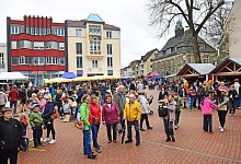 nic_1033b - Nicole Ellerbrake