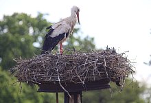 img_0328 - Vasco Stemmer