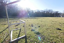 p1390471 - Jost Wolf