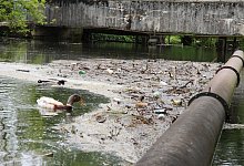 Werre - Archivfoto: Kirsten Fuhrmann