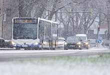 Paderborn, 9. Januar 2024: Schneefall in der Kernstadt - Niklas Tüns