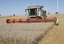 img_9113 - Uwe Müller