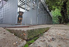 Tierheim Bad Salzuflen - vera gerstendorf-welle