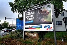 afd - Andreas Frücht