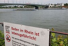 Schild, das vor Baden im Rhein warnt - Roland Weihrauch/dpa