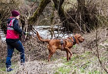 Suche nach vermisstem Sechsjährigen geht weiter - Andreas Arnold/dpa