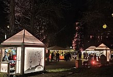 20251212_210038 - 1 - Jost Wolf