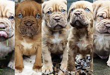 zwischenablage - Steffi Behrmann