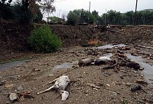 Starke Unwetter in Griechenland - Thodoris Nikolaou/AP/dpa