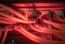 Glasfaserkabel in einem Serverraum - Michael Kappeler/dpa