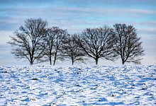 Frostiges Wetter in Nordrhein-Westfalen - Thomas Banneyer/dpa