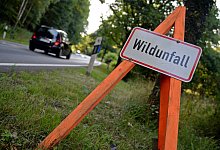 dpa_148E92003D5BF2C7 - dpa