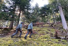 Verdacht auf Angriff eines B&auml;ren - -/Provinzregierung Trentino/dpa