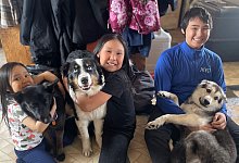 Sch&auml;ferhund Nanuq - Mandy Iworrigan/AP/dpa