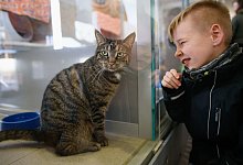Weihnachtsfest f&uuml;r die Tiere im Tierheim Berlin - dpa