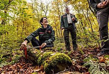 Silke Gorißen (CDU), NRW-Landwirtschaftsministerin - Dieter Menne/dpa