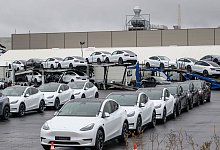 Tesla Gigafactory Berlin-Brandenburg - Patrick Pleul/dpa