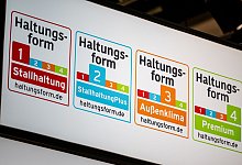 Tierhaltungskennzeichnung - Fabian Sommer/dpa