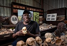 Fossiltechniker Andrew Phaswana im Gusslabor - Brett Eloff/Wits University/dpa-tmn