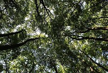 Tiefental - Kirsten Fuhrmann