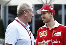 Sebastian Vettel und Helmut Marko - Hasan Bratic/dpa