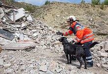 Rettungshundestaffel - A.Jaeckle