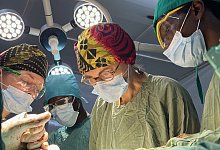 img_3500 - 1 - Wolfgang Hiller