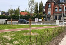 la_park - 1 - Thomas Reineke