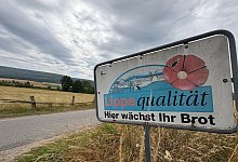 img_1529 - 1 - 1 - Martin Hostert