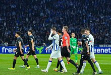 Hertha BSC - 1. FC Magdeburg - Soeren Stache/dpa