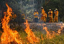 Buschbr&auml;nde in Australien - Foto: Jason Edwards/News Corp Australia/State Control Center Media/dpa