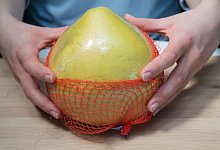 Pestizide in Schale - Foto: Karolin Krämer