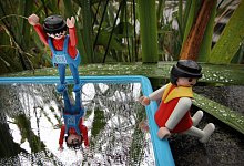 Narzissmus - Bernhard Preuss