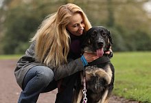 Projekt auf vier Beinen - Foto: Markus Hibbeler/dpa-tmn