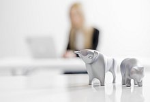 Bulle oder B&auml;r - Foto: Monique W&uuml;stenhagen/dpa-tmn