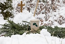 201207_fri_1107 - FriedWald Gmbh