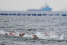 Schwimm-WM in Singapur - Freiwasser Schwimmen - Vincent Thian/AP/dpa