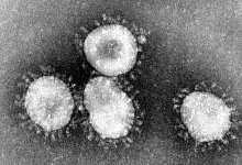 Coronavirus - Foto: Center for Disease Control/epa/dpa
