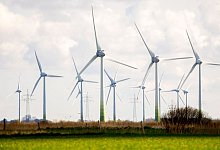 Zahlreiche Windkraftanlagen stehen auf Feldern im Landkreis Aurich. - Hauke-Christian Dittrich/dpa