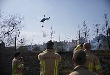 Waldbrand in Israel - Ohad Zwigenberg/AP/dpa