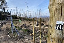 img_6737 - Eike J. Horstmann