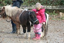 Ponyfreunde Lippe - Ponyfreunde Lippe/Sylvia Frevert