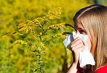 bu-1-pollen-2025 - AOK/Colourbox/hfr