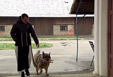 &laquo;Lust oder Qual&raquo; - Mark Glassner/Sarah Dieh/Orf/3sat/dpa