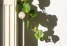 Heizung - Fernando Gutierrez-Juarez/dpa