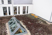 la_Bienen Rathaus - Cordula Gr&ouml;ne