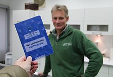 Tierarzt - Heidi Stork