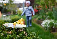 Ostergeschenk defekt? Diese Rechte haben Verbraucher - Uwe Anspach/dpa-tmn/dpa